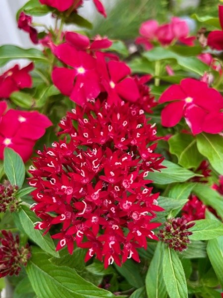 thumbnail_IMG_0841 (2)