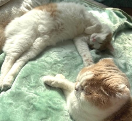 thumbnail_IMG_7795 (1)