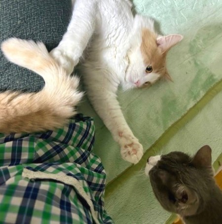 thumbnail_IMG_0473 (1)