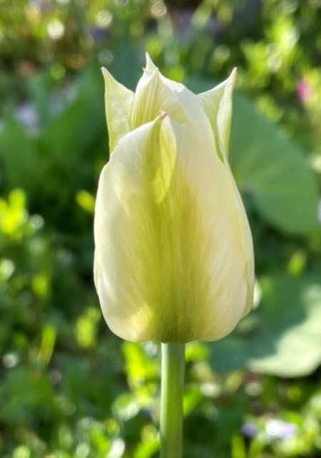 thumbnail_IMG_0483