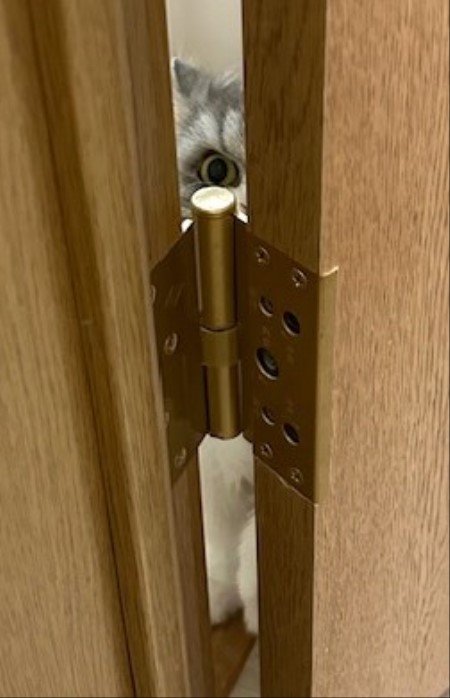 thumbnail_IMG_1367 (1)