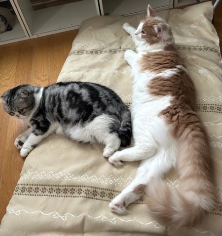 thumbnail_IMG_2216 (1)