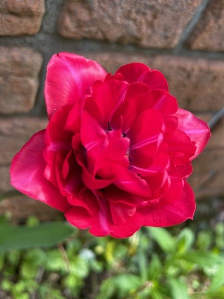 thumbnail_IMG_9890 (1)