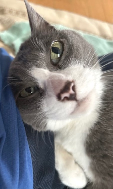 thumbnail_IMG_2416 (2)_1