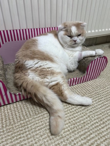 thumbnail_IMG_4226 (1)