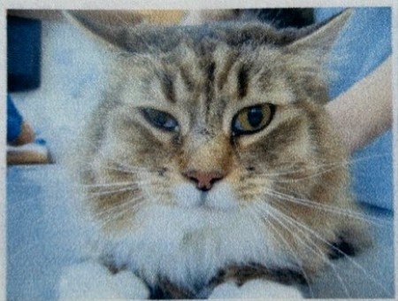thumbnail_IMG_6328 (1)