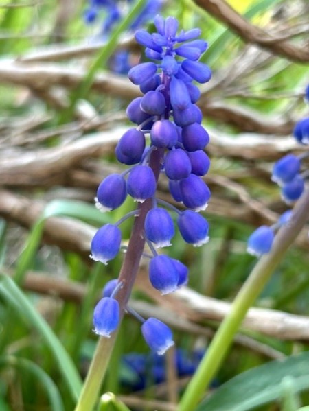 thumbnail_IMG_5937