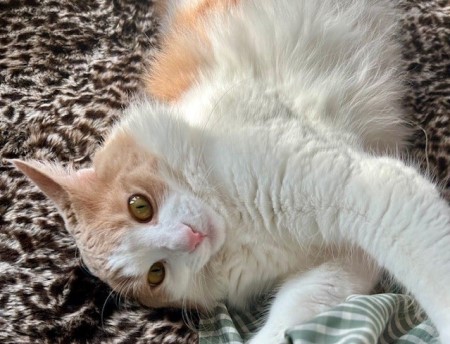 thumbnail_IMG_8622 (1)