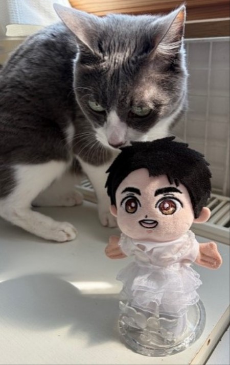 8923934b-128b-4625-a37c-7f97812aeb19