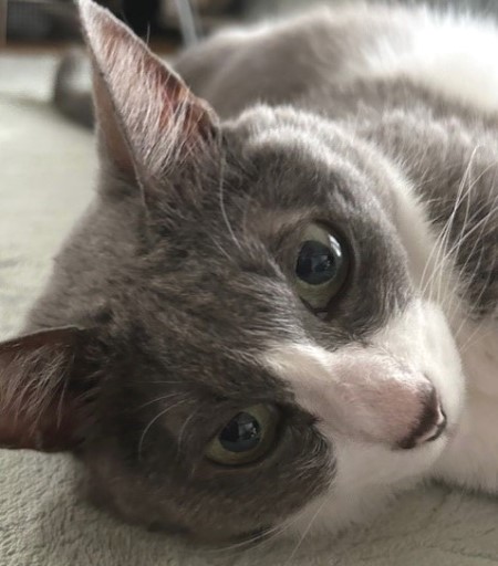 thumbnail_IMG_2551 (2)