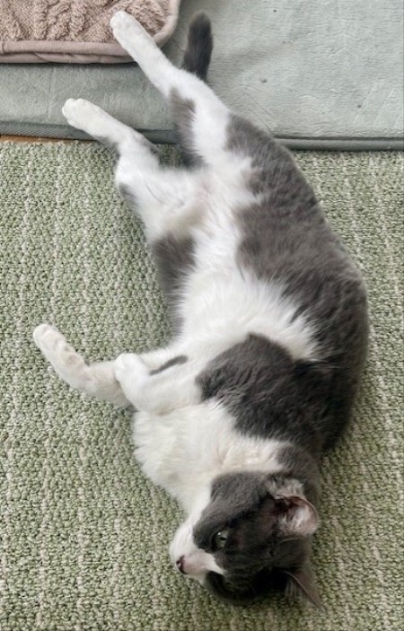 70054a48-289c-4627-a4c4-5c9c15bd1990