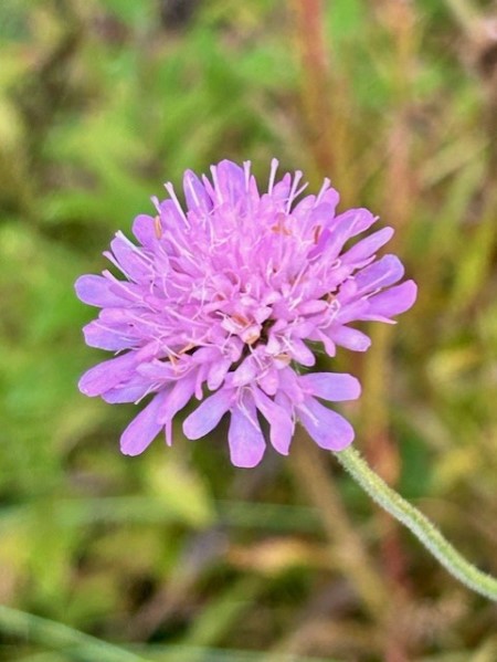 thumbnail_IMG_3582 (1)