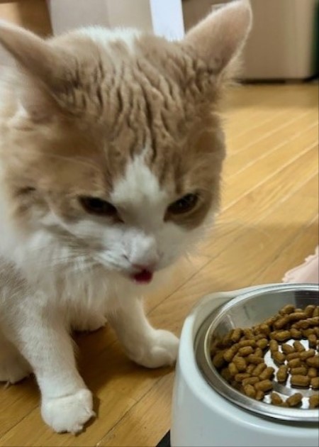 thumbnail_IMG_5237 (2)