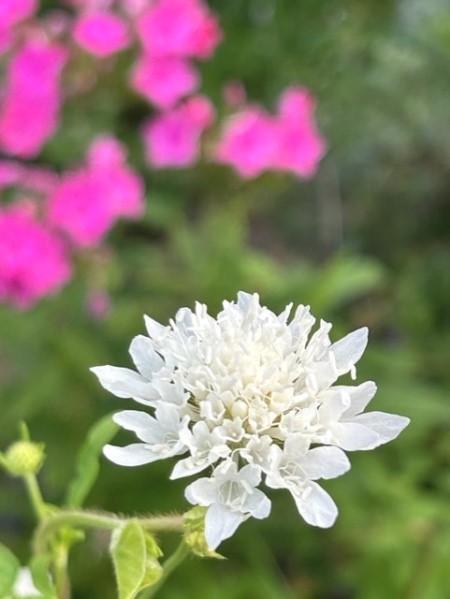 thumbnail_IMG_6627