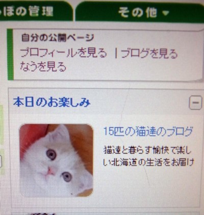 「猫だらけ」