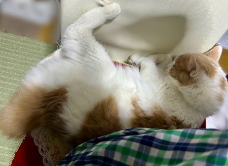 098b4e91-285b-4f27-b862-9c6ab3cabf45