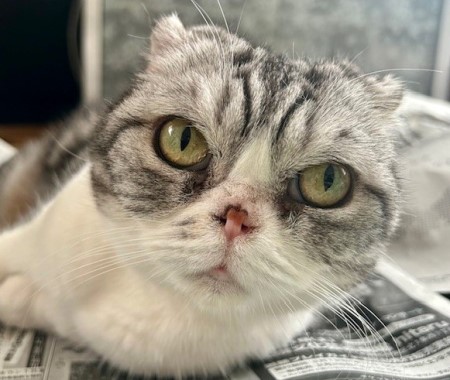 1c5bae76-9495-4d8e-a22f-cdd6aa0173f9