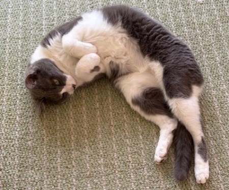 df29e45d-aff3-4884-be51-2a68e622f8c4