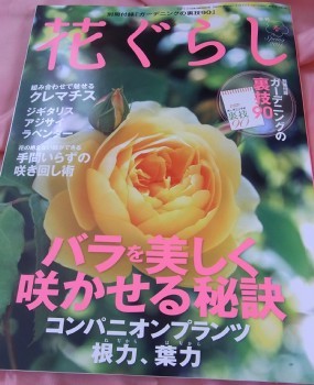 「猫だらけ」