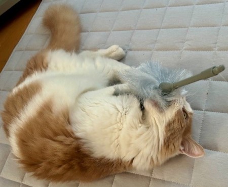 thumbnail_IMG_9773 (1)