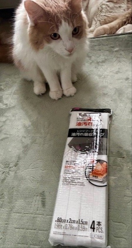 thumbnail_IMG_5666 (1)