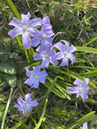 thumbnail_IMG_9589