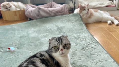 thumbnail_IMG_5179 (1)