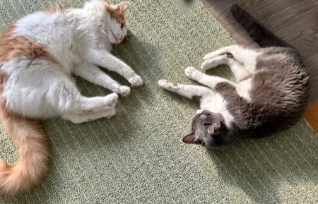 a420f4e7-ae55-4298-b928-5ebab757b13e