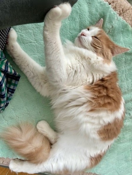 thumbnail_IMG_5965 (1)