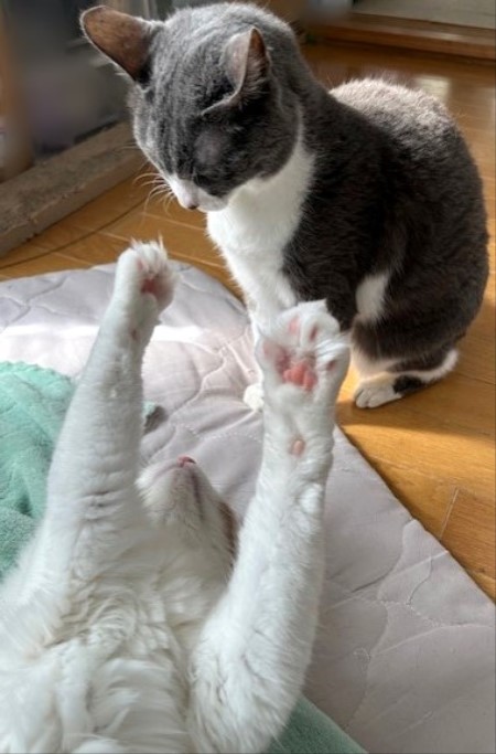 thumbnail_IMG_5783 (1)