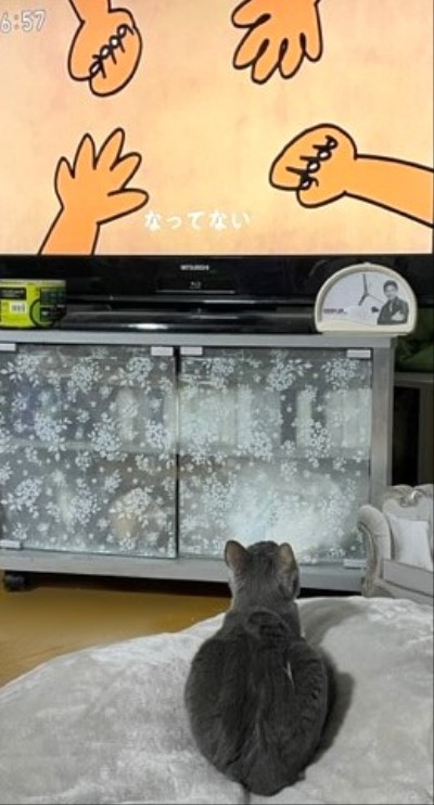 3460