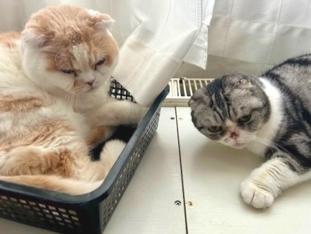 thumbnail_IMG_2866 (1)