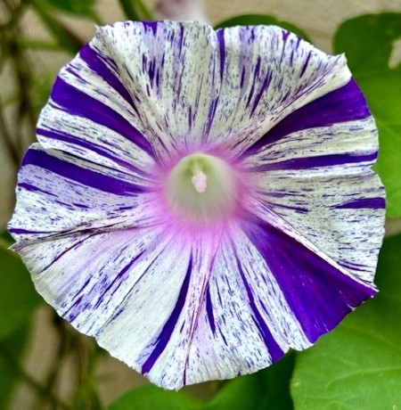 thumbnail_IMG_2890 (3)