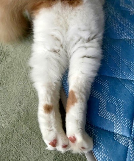 thumbnail_IMG_8405 (1)