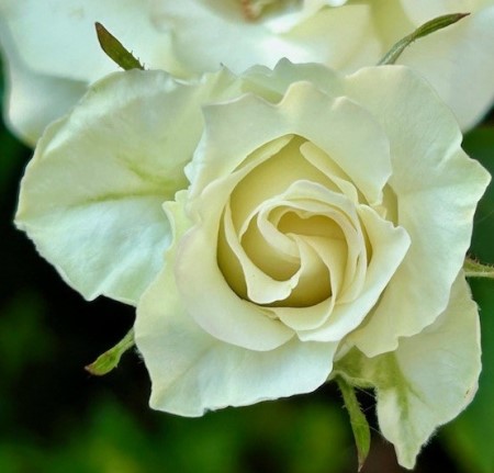 thumbnail_IMG_8416 (1)