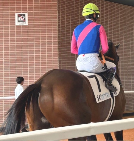 thumbnail_IMG_1552 (1)