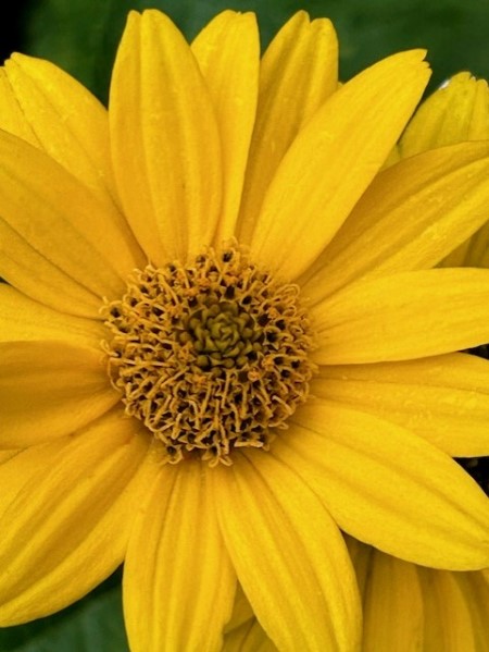 thumbnail_IMG_4467 (2)