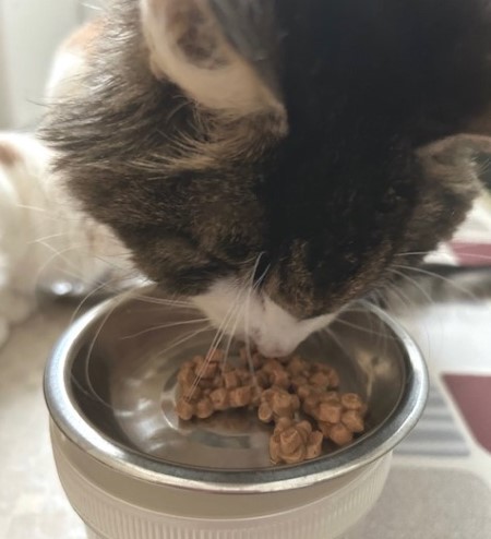 thumbnail_IMG_7824 (1)