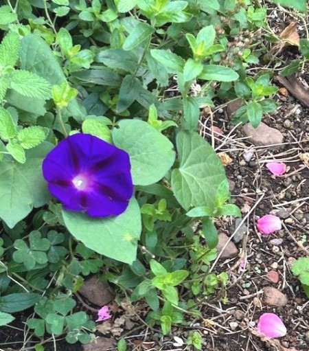 thumbnail_IMG_3821 (2)