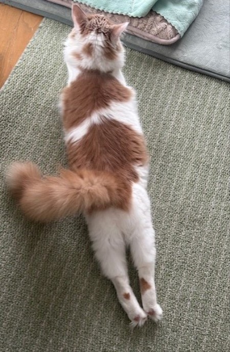 thumbnail_IMG_5566 (2)