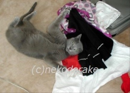 ルシアンサイン２_1