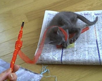 photo121_1