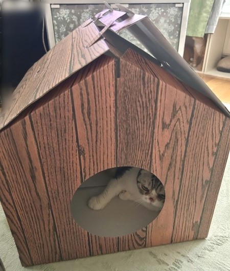 thumbnail_IMG_8369 (1)