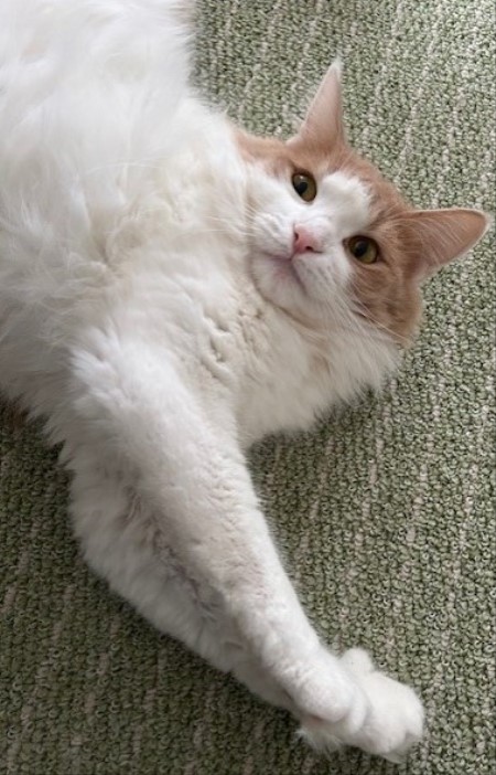 1443d837-01a2-4907-9e3c-4703e9250118