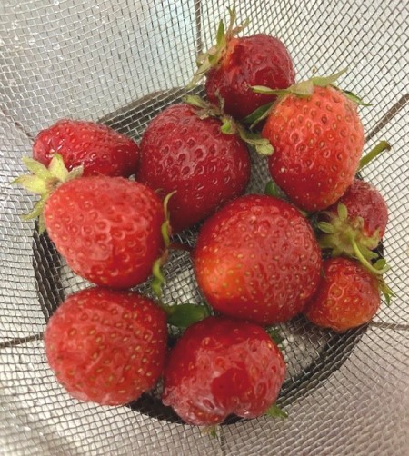 thumbnail_IMG_8396 (1)