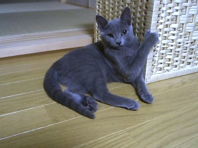 photo253