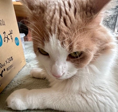 thumbnail_IMG_2884 (1)