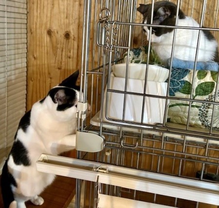 4d037344-7996-452a-a54d-e8198da3a3ed