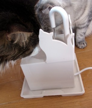 「猫だらけ」