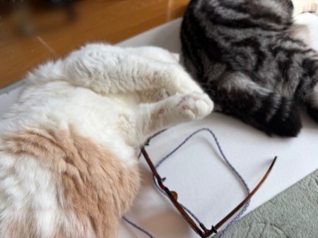 0a7477ee-6db2-408b-8f63-c1100705aed1